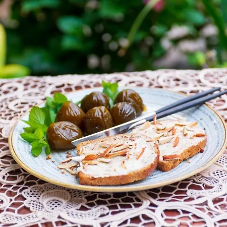 Pensionat Grancharova 3*