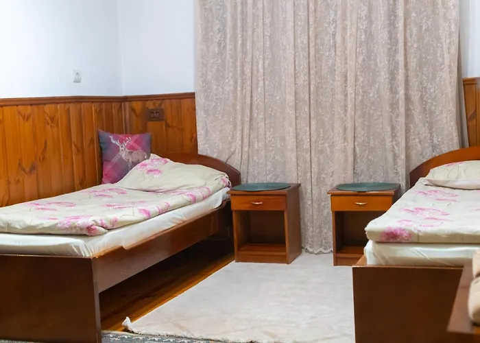 Pensionat Grancharova 3*