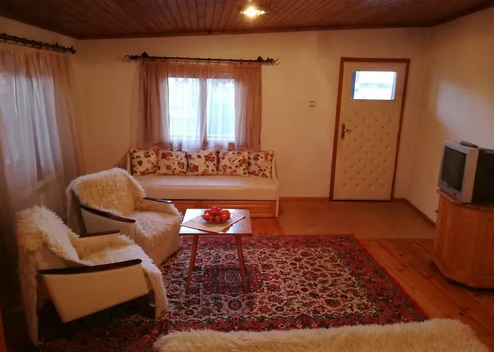 Grancharova Pensionat Bansko