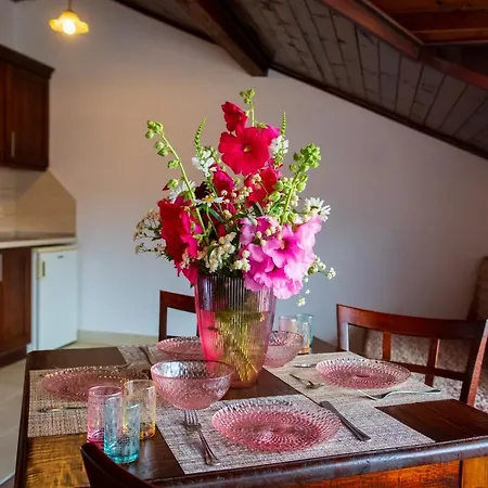 Grancharova 게스트하우스 3*