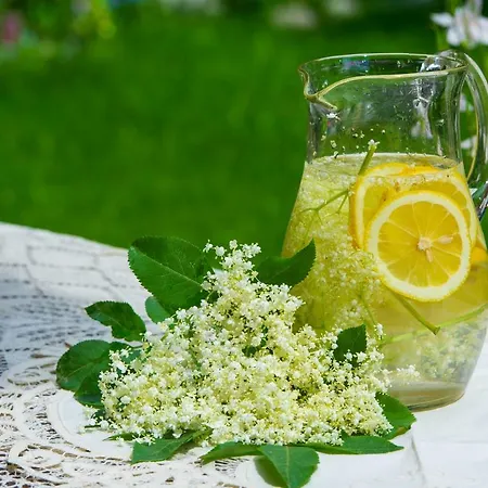 Maison d'hôtes Grancharova 3*