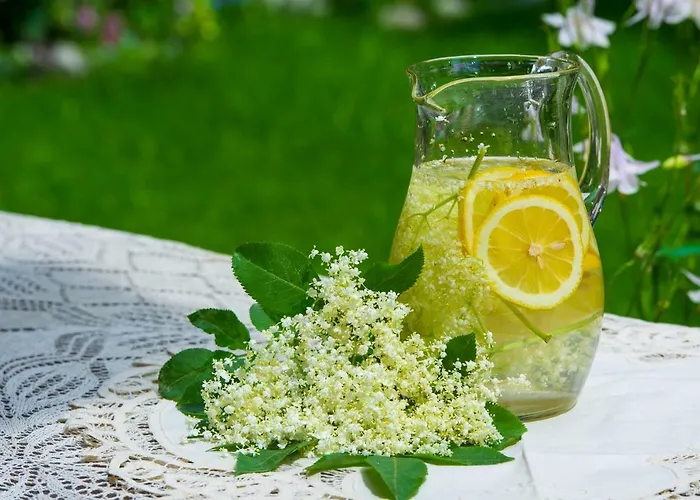 Guest house Grancharova 3*