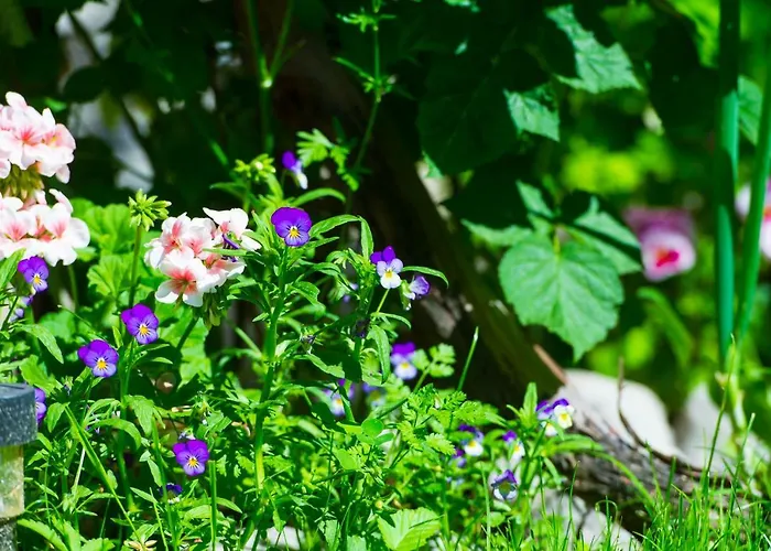 Grancharova Guest house Bansko